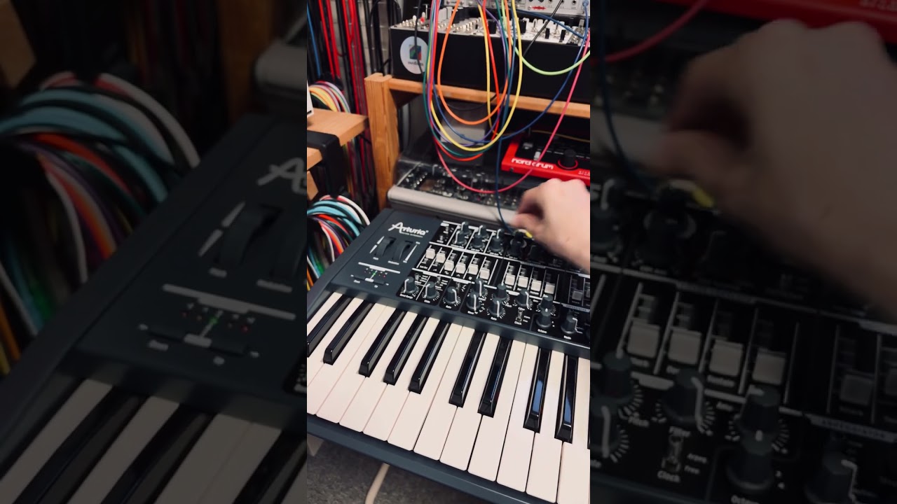 Arturia minibrute & Roland TR-8