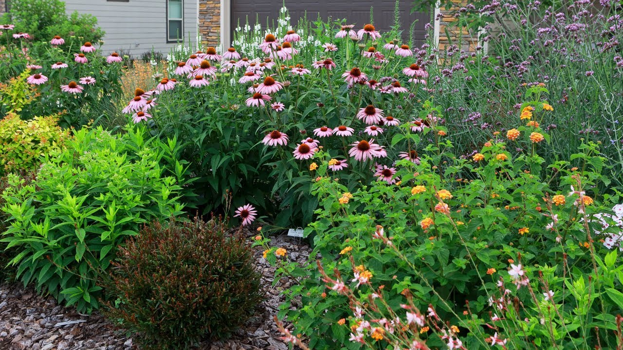 Making It Grow - 2017 Carolina Yard of the Year Winner
