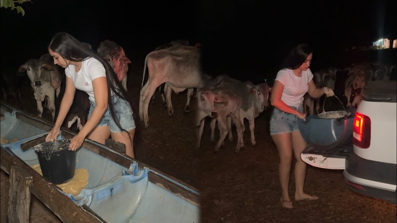 RETIRAMOS O PROTEINADO DO COCHO ⛈️