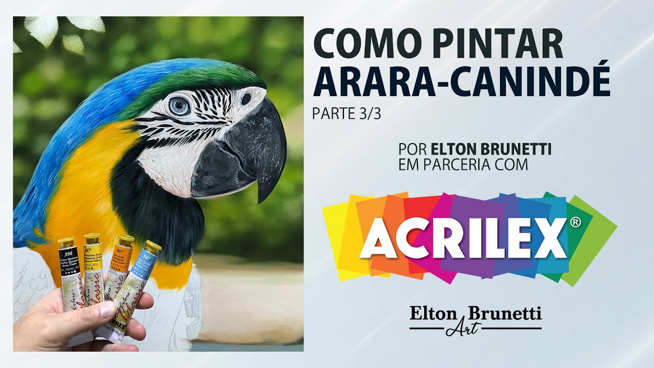 Video aula Como pintar Arara-canindé - Parceria Acrilex | Parte 03