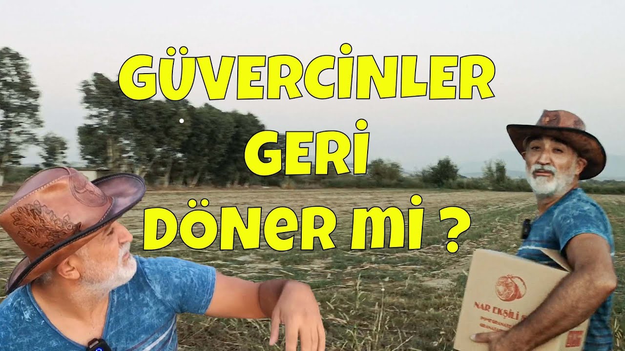 UZAKTAN GÜVERCİN BIRAKTIM - YUVAYA DÖNDÜLER Mİ ?