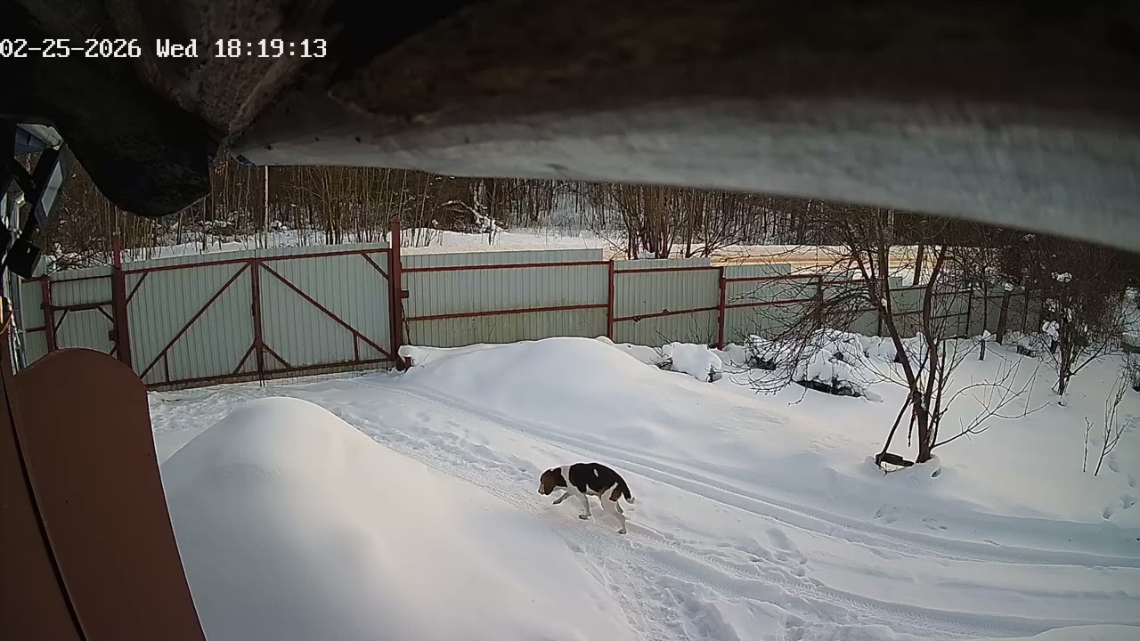 Вот так и живём, голова закружилась. 