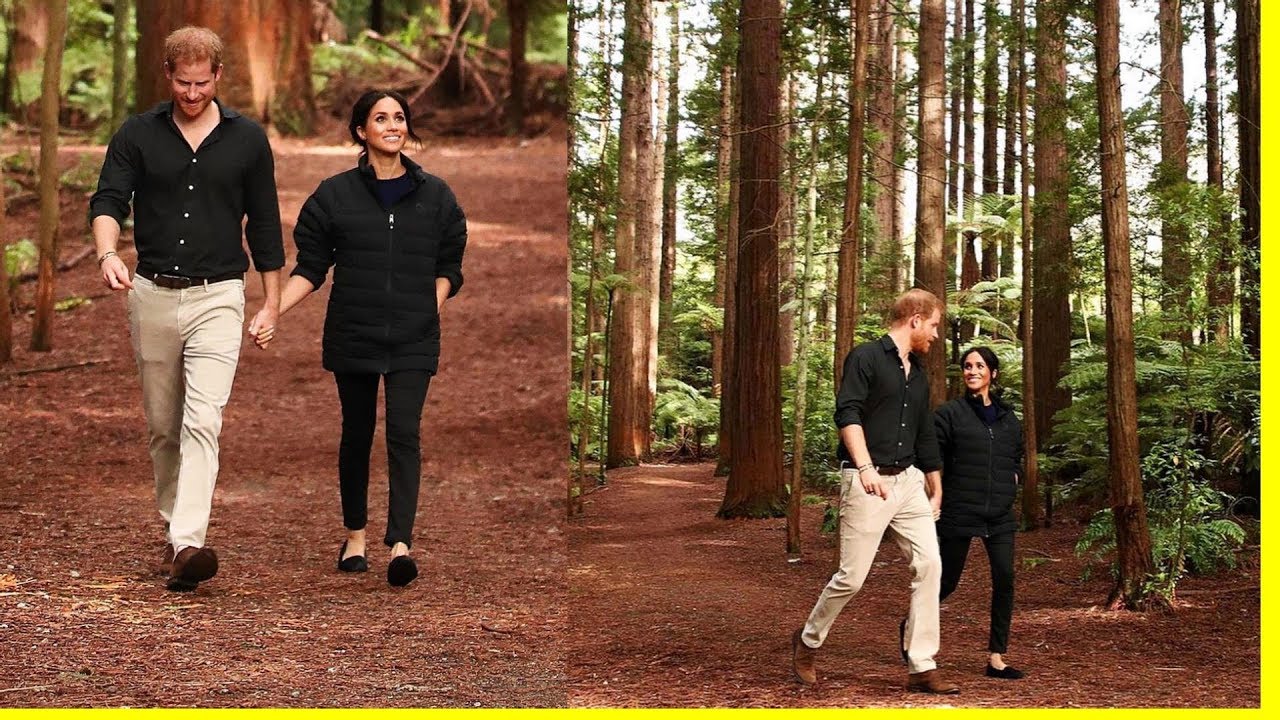Prince Harry and Meghan 