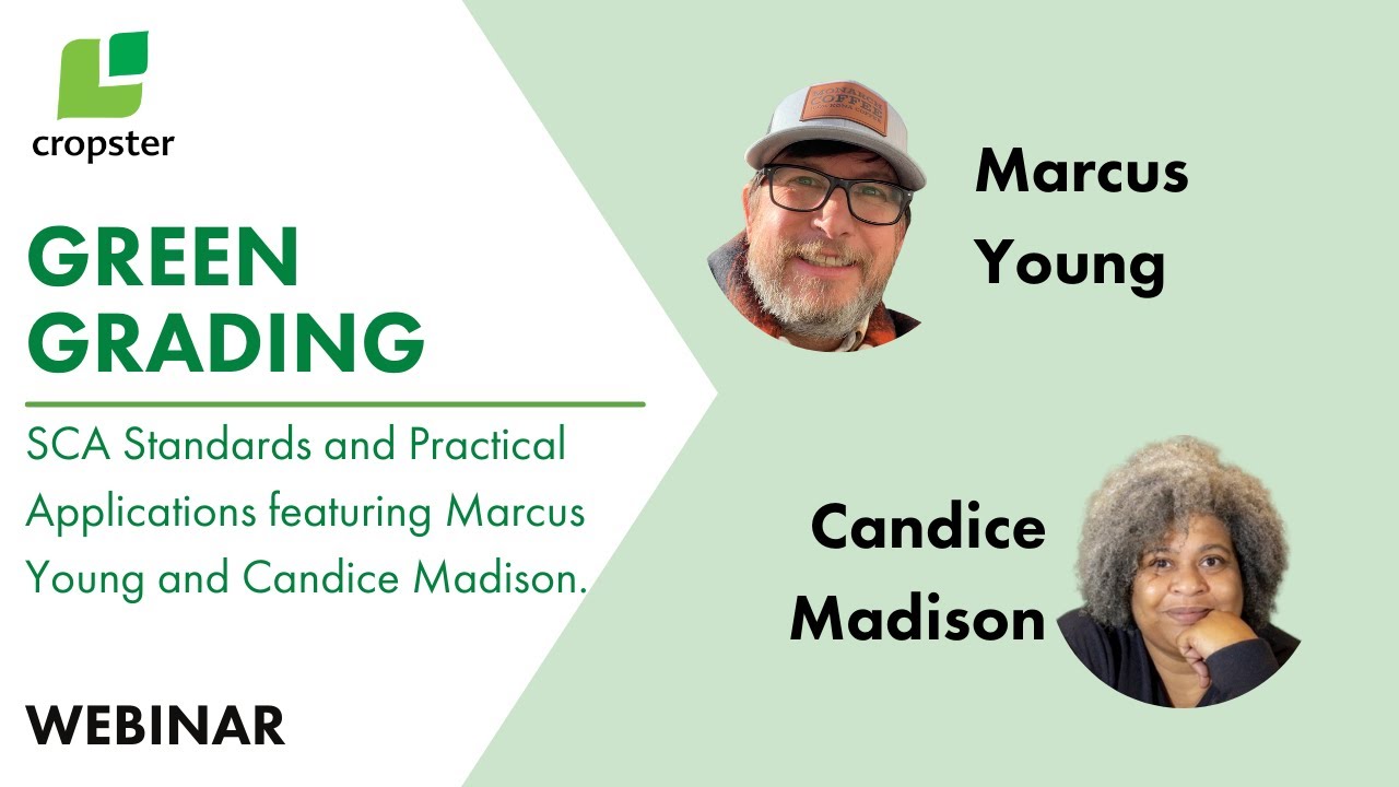 Green Grading: SCA Standards and Practical Applications