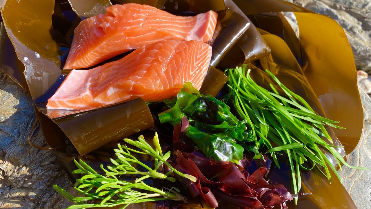 Coastal Foraging and Campfire Cooking Salmon and Edible Seaweeds - Cooked in a Tin