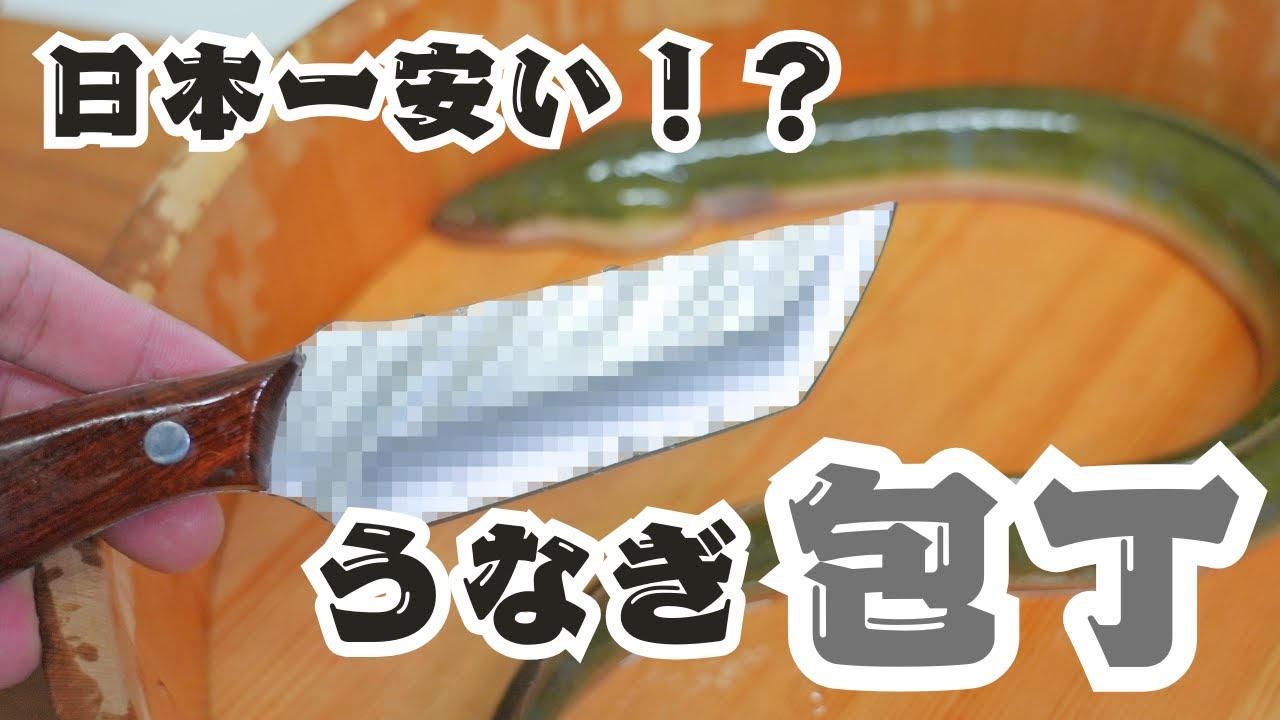 日本一安い「うなぎ裂き包丁」で天然ウナギを捌いたら想像以上だった【レビュー】