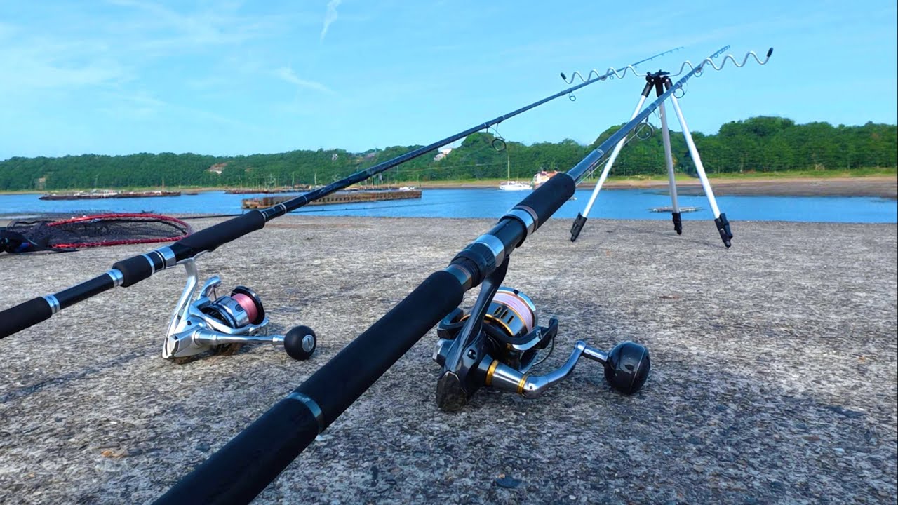 【秘境堤防】高級魚が群がる場所での泳がせ釣りがやばい