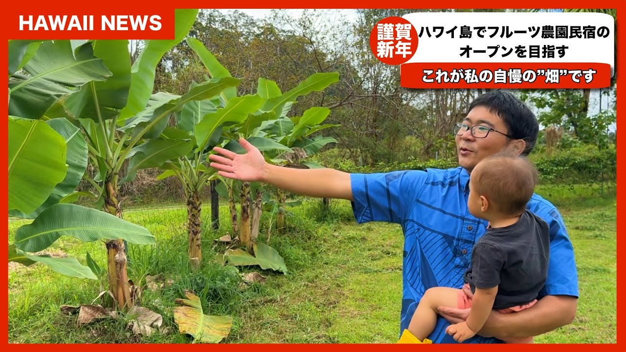 【ハワイ島移住】50種類のフルーツが植っている農園民宿の最新情報