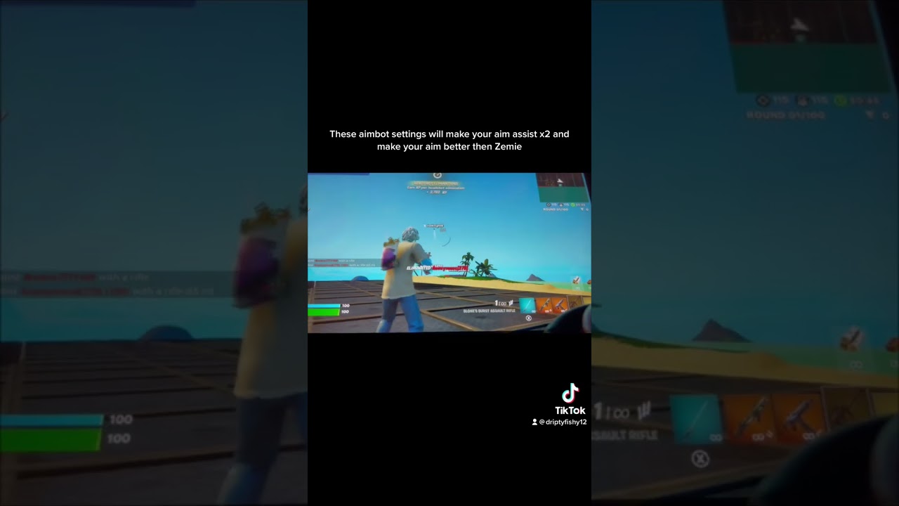 These settings will make your aim better than Zemie