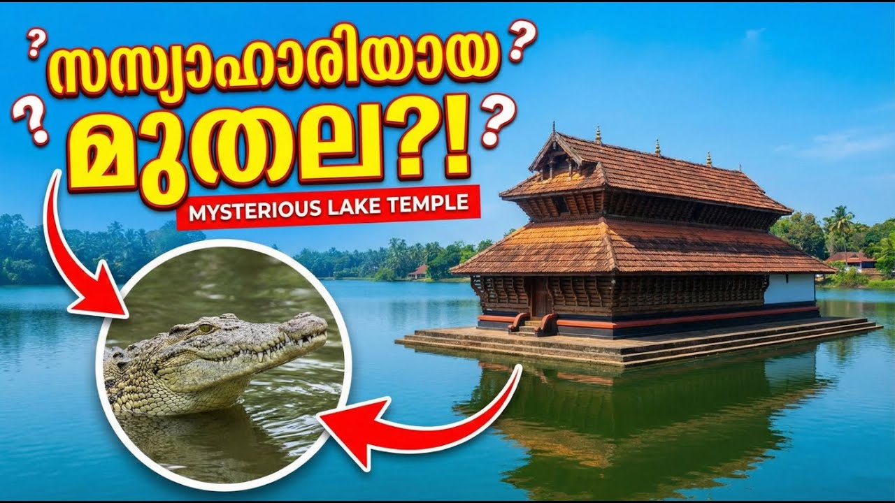 സസ്യാഹാരിയായ മുതല കാവൽ നിൽക്കുന്ന അത്ഭുത ക്ഷേത്രം | Ananthapura Lake Temple Mystery | Babiya
