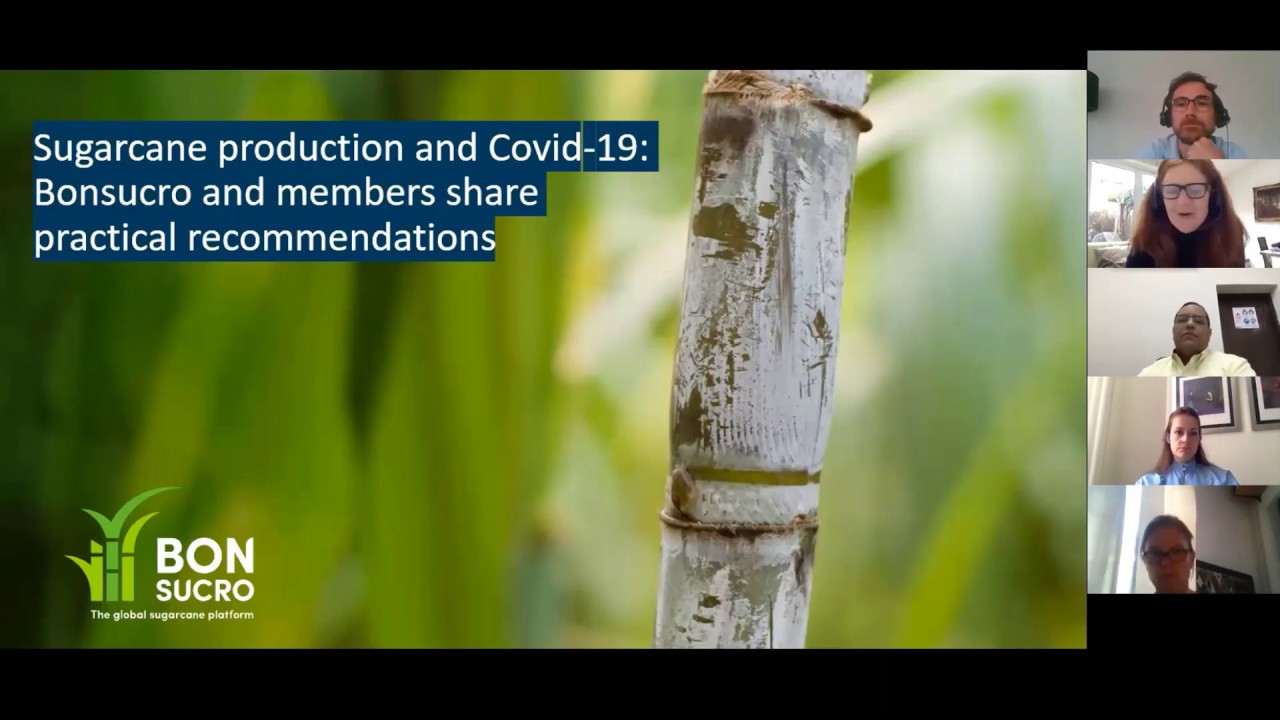 Sugarcane production and Covid-19: Bonsucro and members share practical recommendations