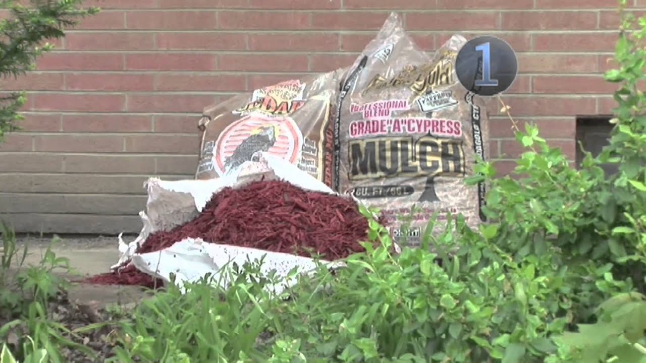 How To Mulch - Using Mulch On Plants & Garden Beds | Garden Ideas & Tips | Homebase