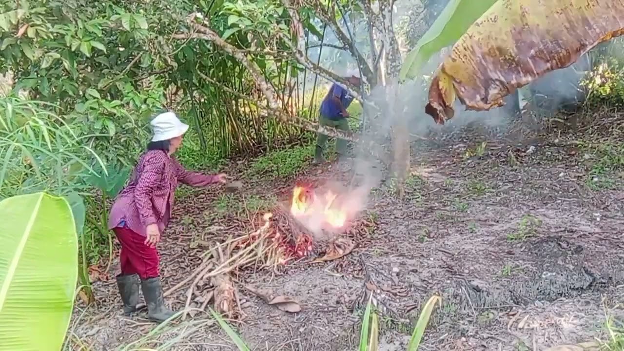 KAMI DUAI NENEK NATHANIEL NUNU DAUN KERING BA KAWASAN POKOK RAMBUTAN.