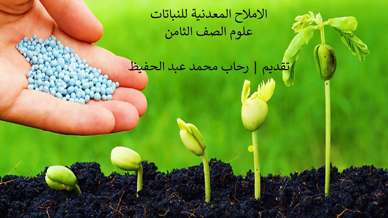 الاملاح المعدنية |علوم الصف الثامن |قناة المعلم المبدع