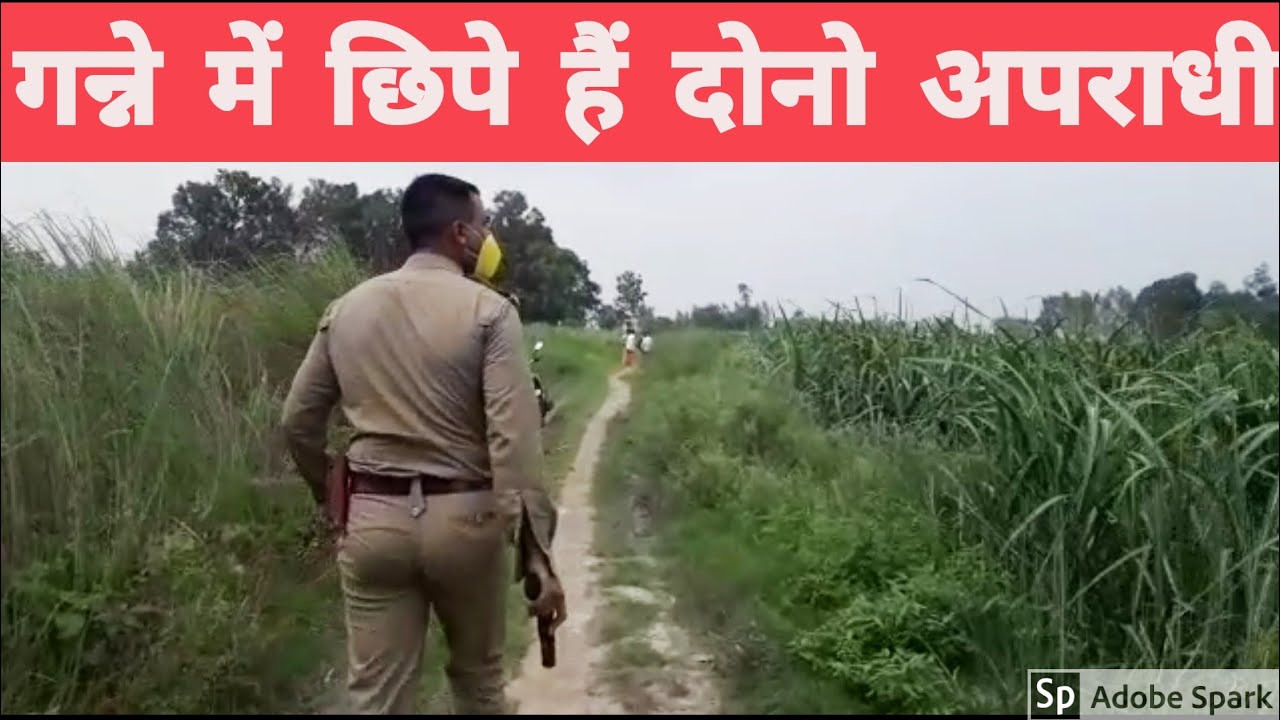 ऑपरेशन गन्ना : श्रावस्ती पुलिस