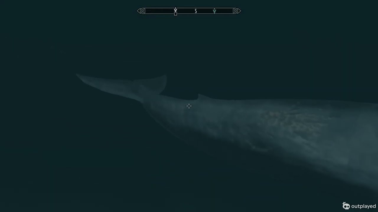 Blue Whale in Skyrim
