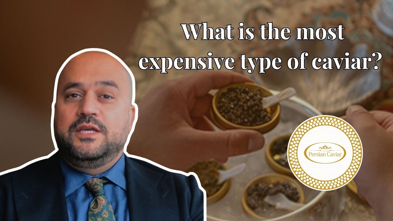 What is the most expensive type of caviar? Learn about the business of caviar with Hossein Akef