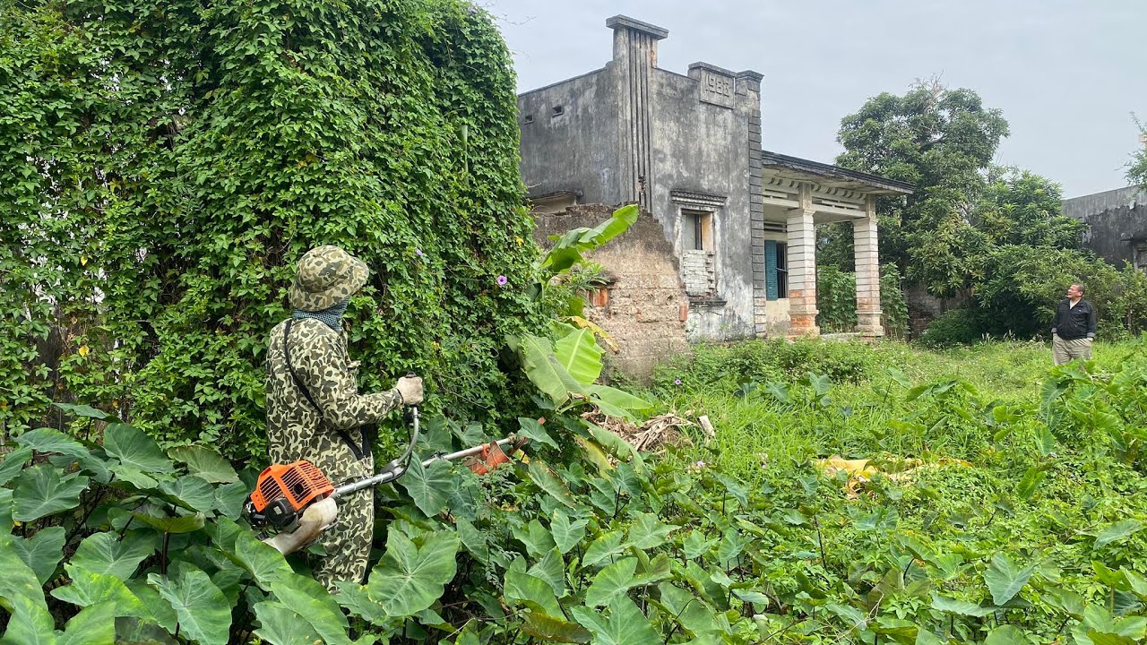 Help the Poor Couple Clean and Cut the Grass in the old House 1983 to Welcome Christmas and New Year