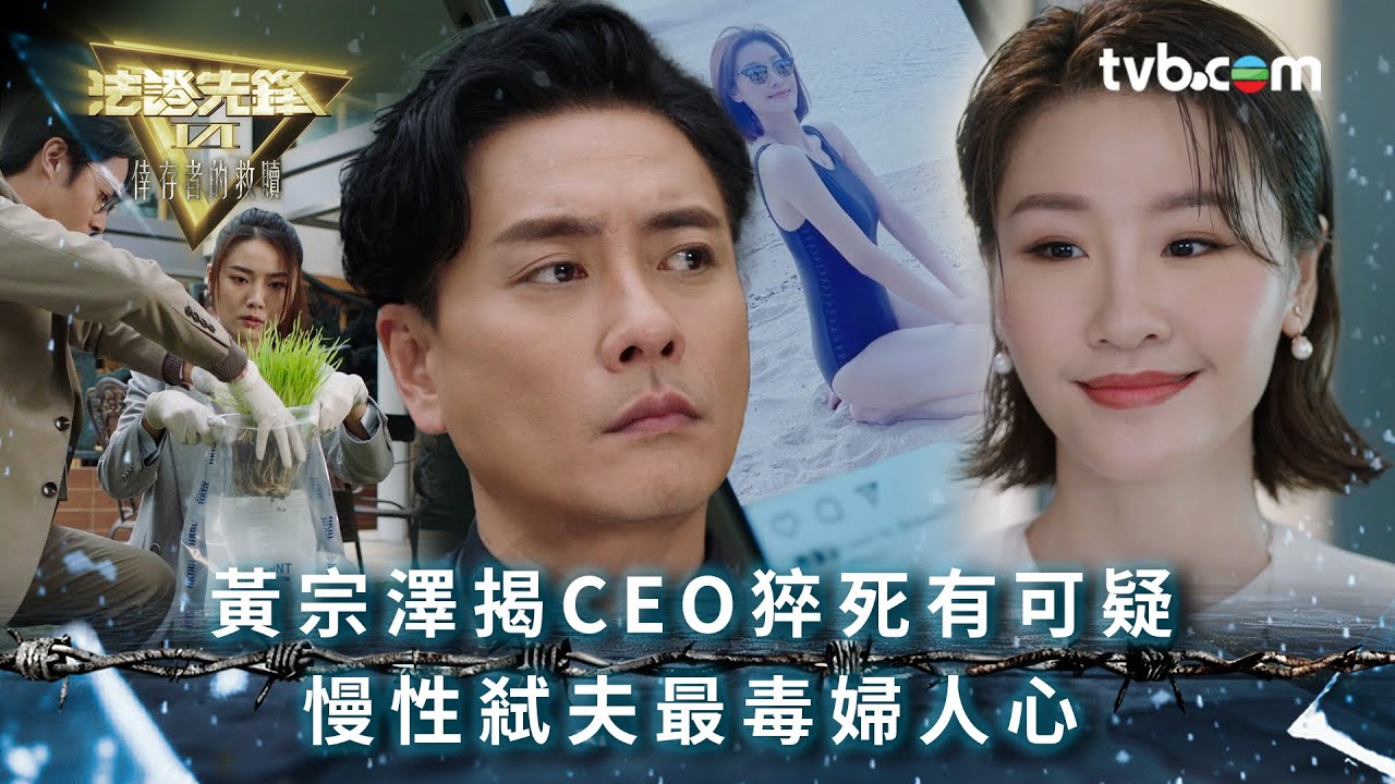 法證先鋒6 第十九集｜黃宗澤揭CEO猝死有可疑 慢性弒夫最毒婦人心｜法證先鋒VI倖存者的救贖 第19集精華｜黃宗澤 袁偉豪 蔡潔 王敏奕 傅嘉莉 蔣祖曼｜懸疑奇案｜TVB港劇