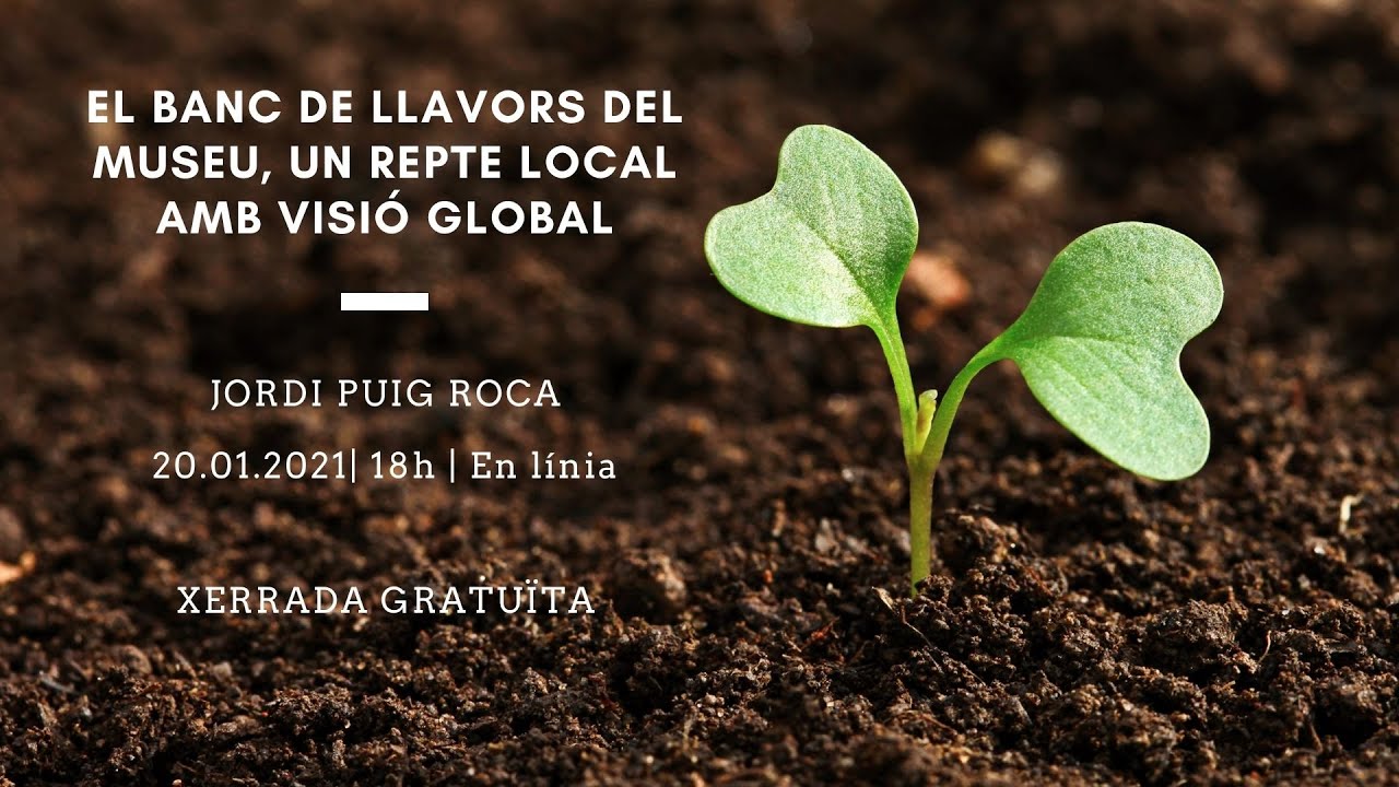Més Museu - Xerrada: El banc de llavors del Museu, un repte local amb visió global.