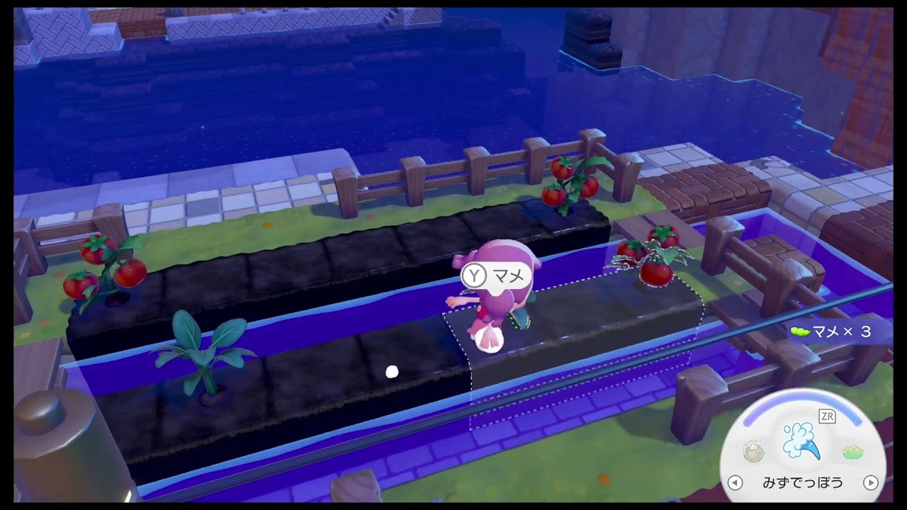 無言ぽこあポケモン配信