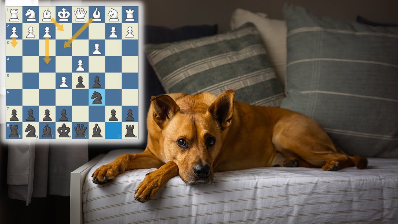Caro-Kann Advance: Breaking Down Move Five Alternatives