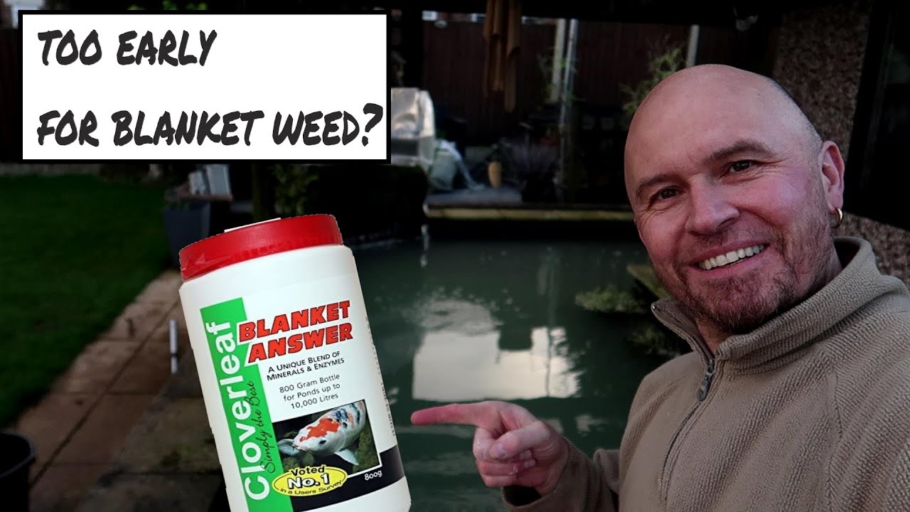 It's That Time Of Year Again **Blanket Weed Treatment**