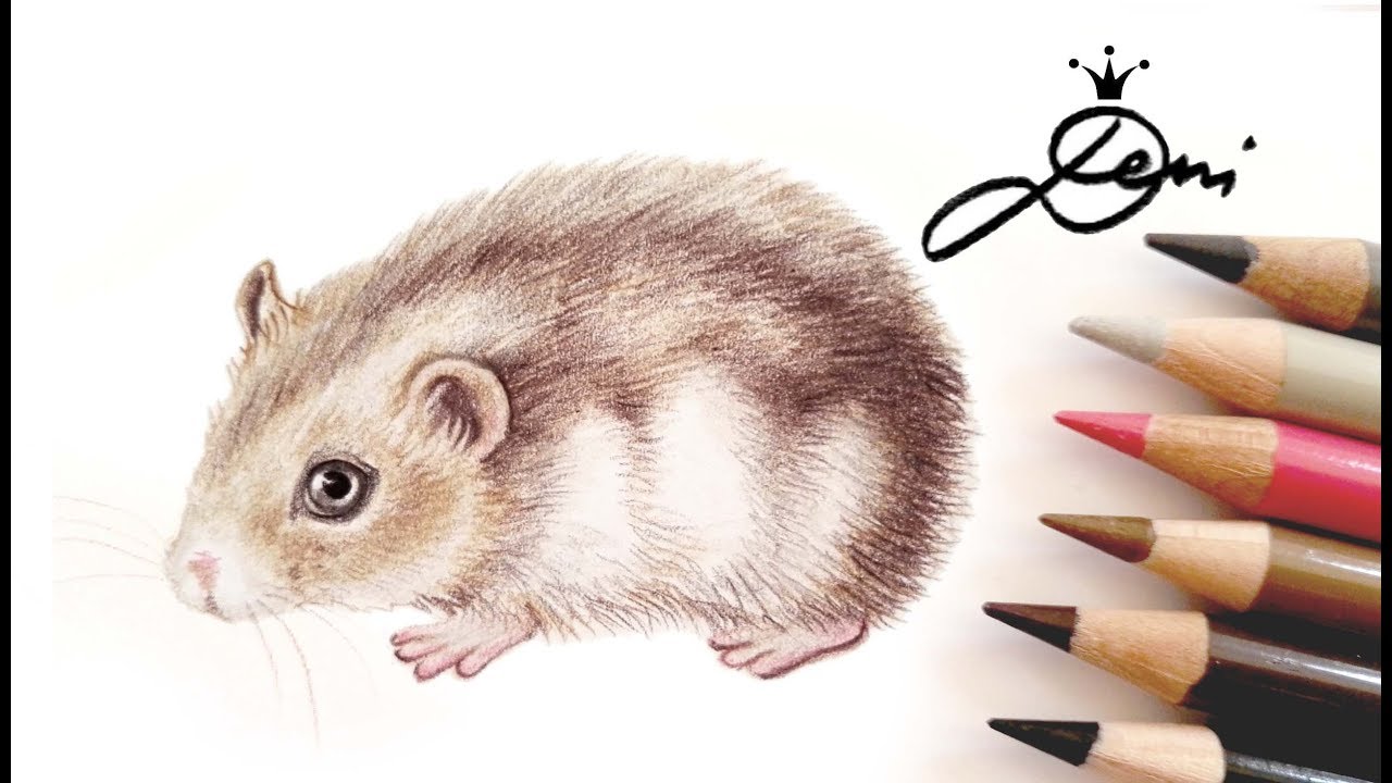 Hamster (dsungarisch) zeichnen lernen 🐹How to Draw a Hamster 🐹 как се рисува хамстер
