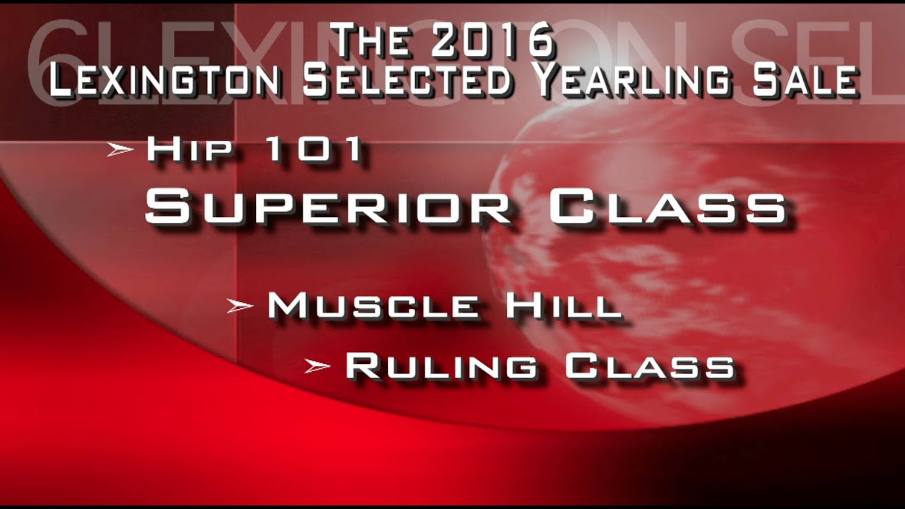 H101 Superior Class Glengate 2016Lex