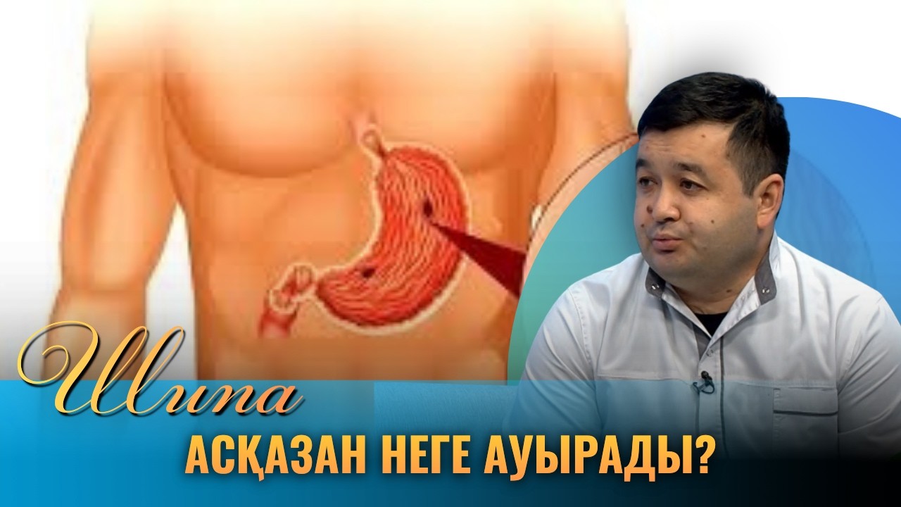 Шипа | Асқазан неге ауырады?
