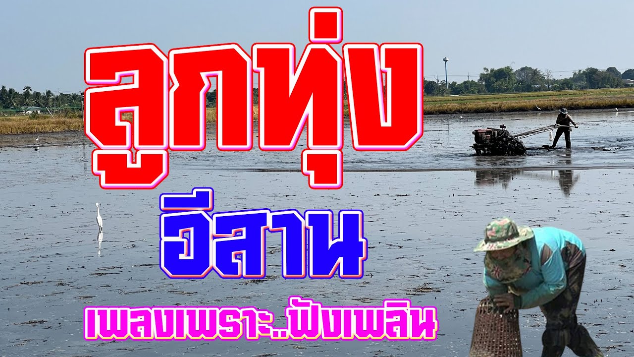 รวมเพลงลูกทุ่งอีสานฟังเพราะ