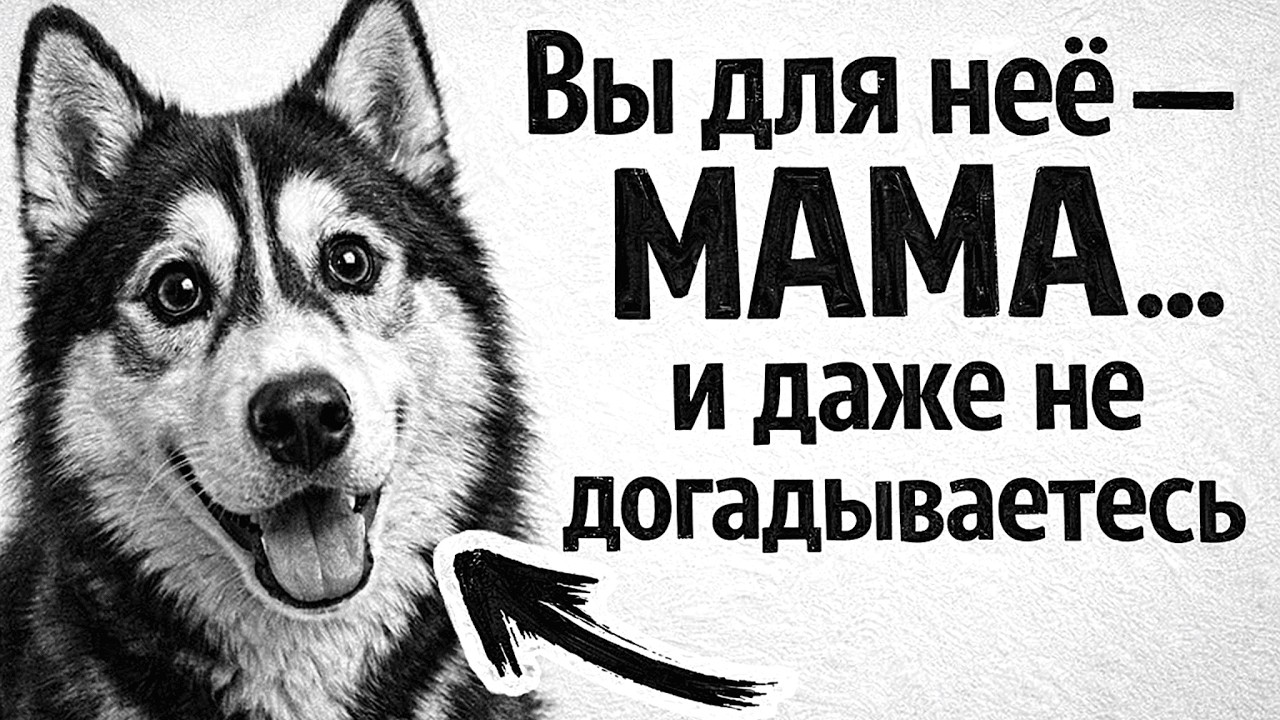 Она считает вас МАМОЙ… И вы даже не догадывались об этом