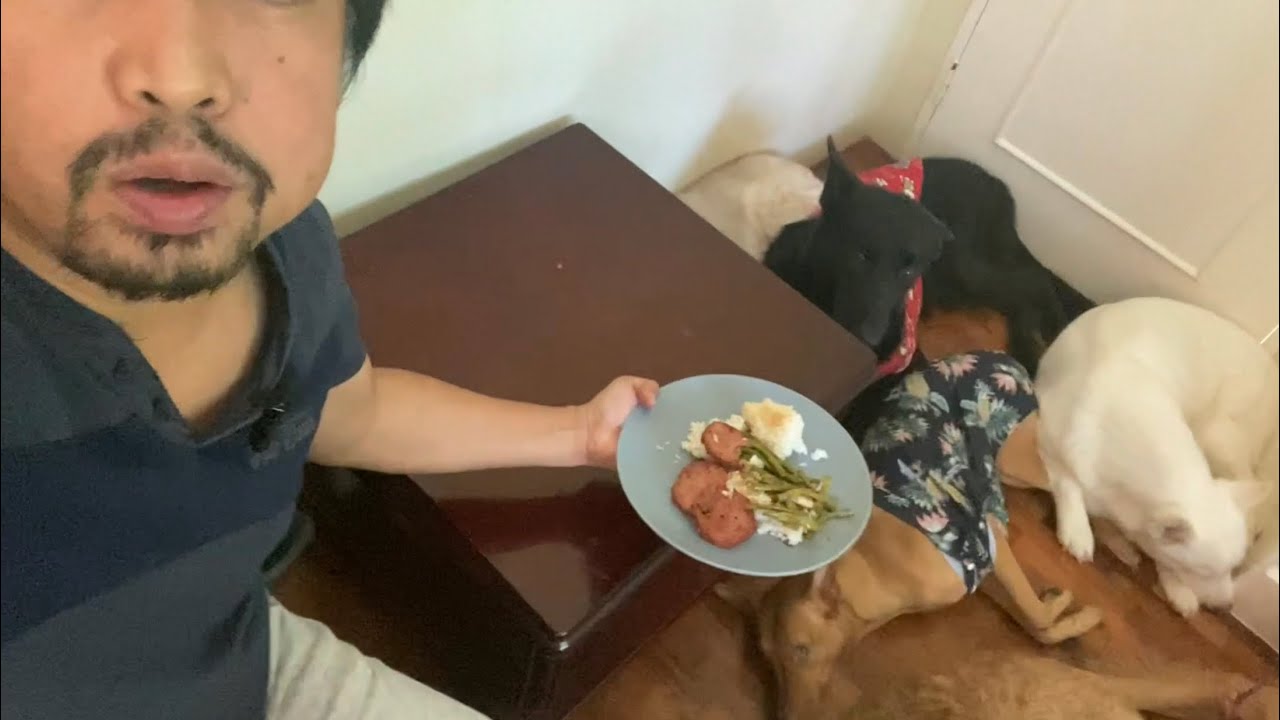 Sino ang kumain ng pagkain ko 😅