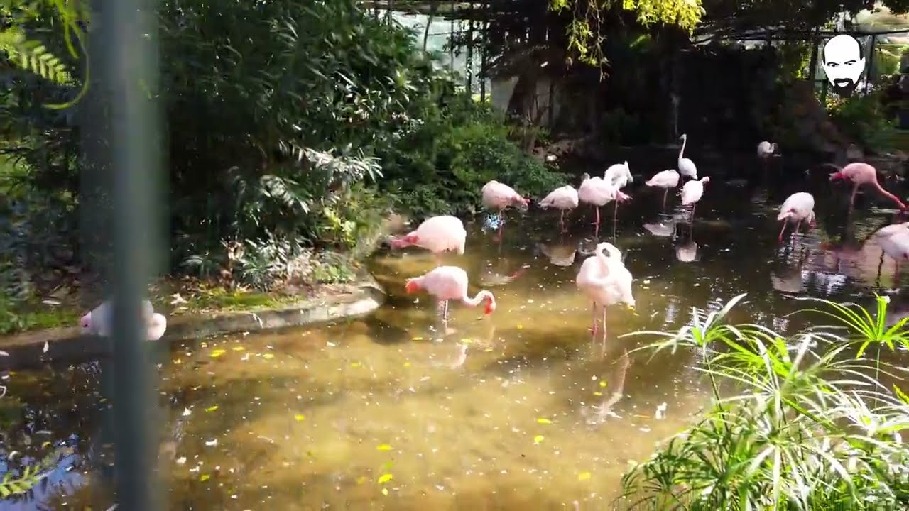 Il Parco d'Orléans di Palermo. Un'oasi nel cuore della città