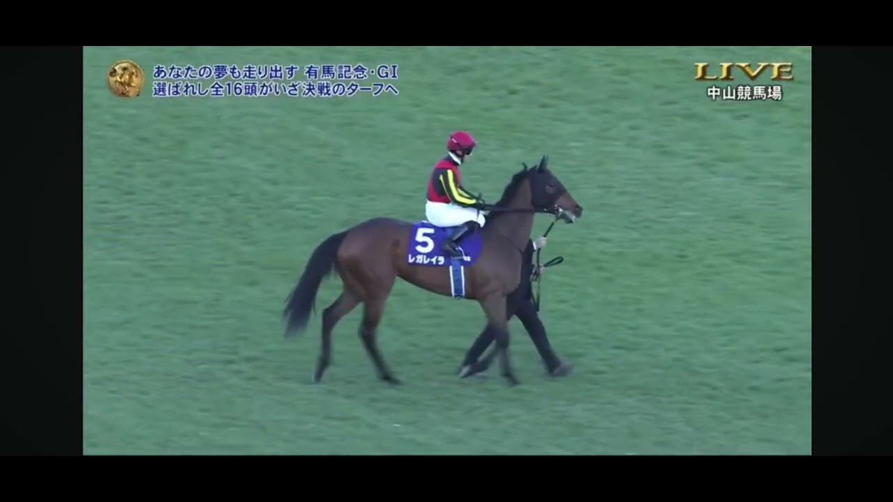 2025年第70回有馬記念G1 本馬場入場