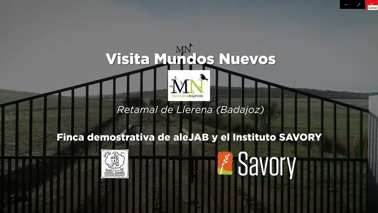 Experiencia en manejo holístico en la Finca Mundos Nuevos (Extremadura)