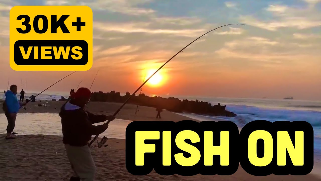 Shad Fishing South Africa #fishing #shorts #viralvideo