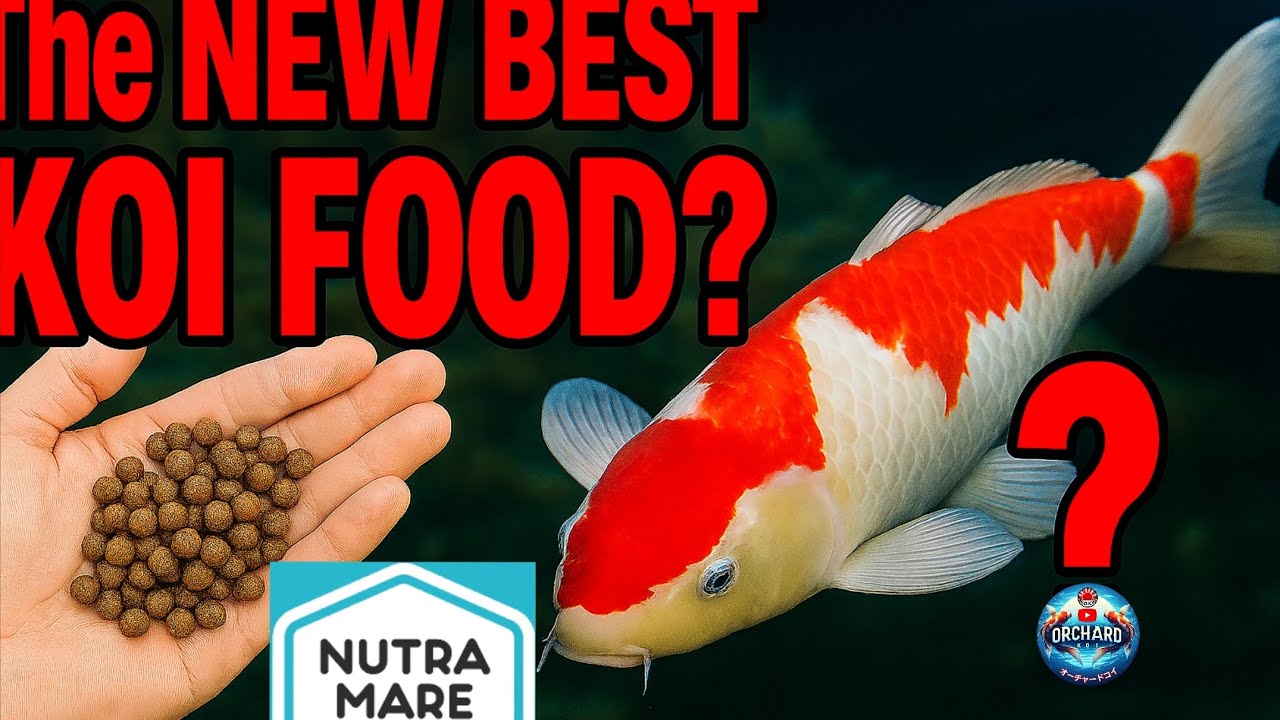 100 КГ и сезон Nutramare спустя: РЕЗУЛЬТАТЫ!!