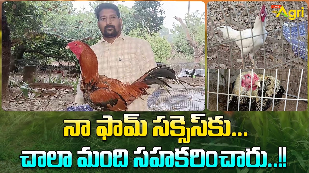 Pandem Kollu Pempakam | నా ఫామ్ సక్సెస్‌కు.. చాలా మంది సహకరించారు..!! Tone Agri