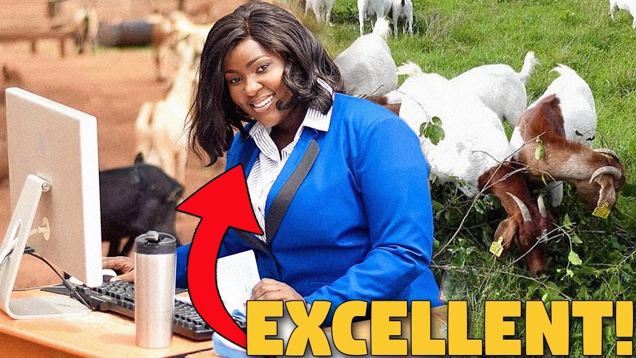How Duck , Rabbit, and  Goat Farming Can Make You A RICH PERSON IN UGANDA (Mlinza Farms)