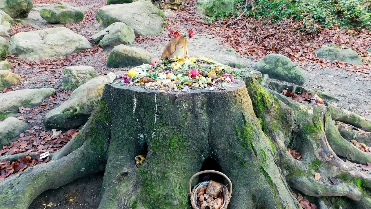 Der Aaper Wald in Düsseldorf