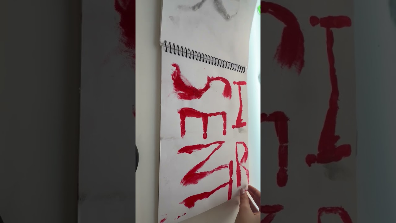 Video bitácora