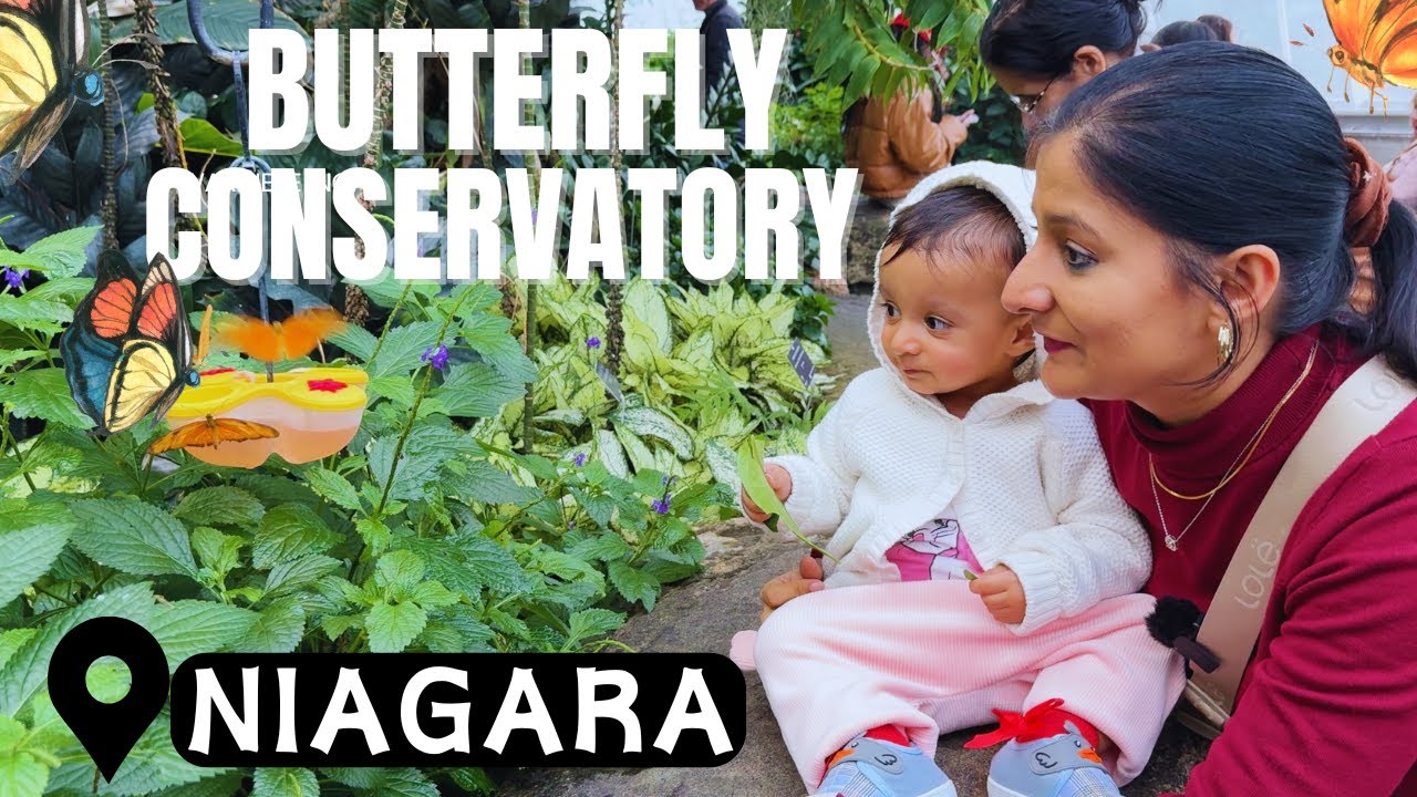 Exploring Niagara’s Butterfly Conservatory | Fun Tour