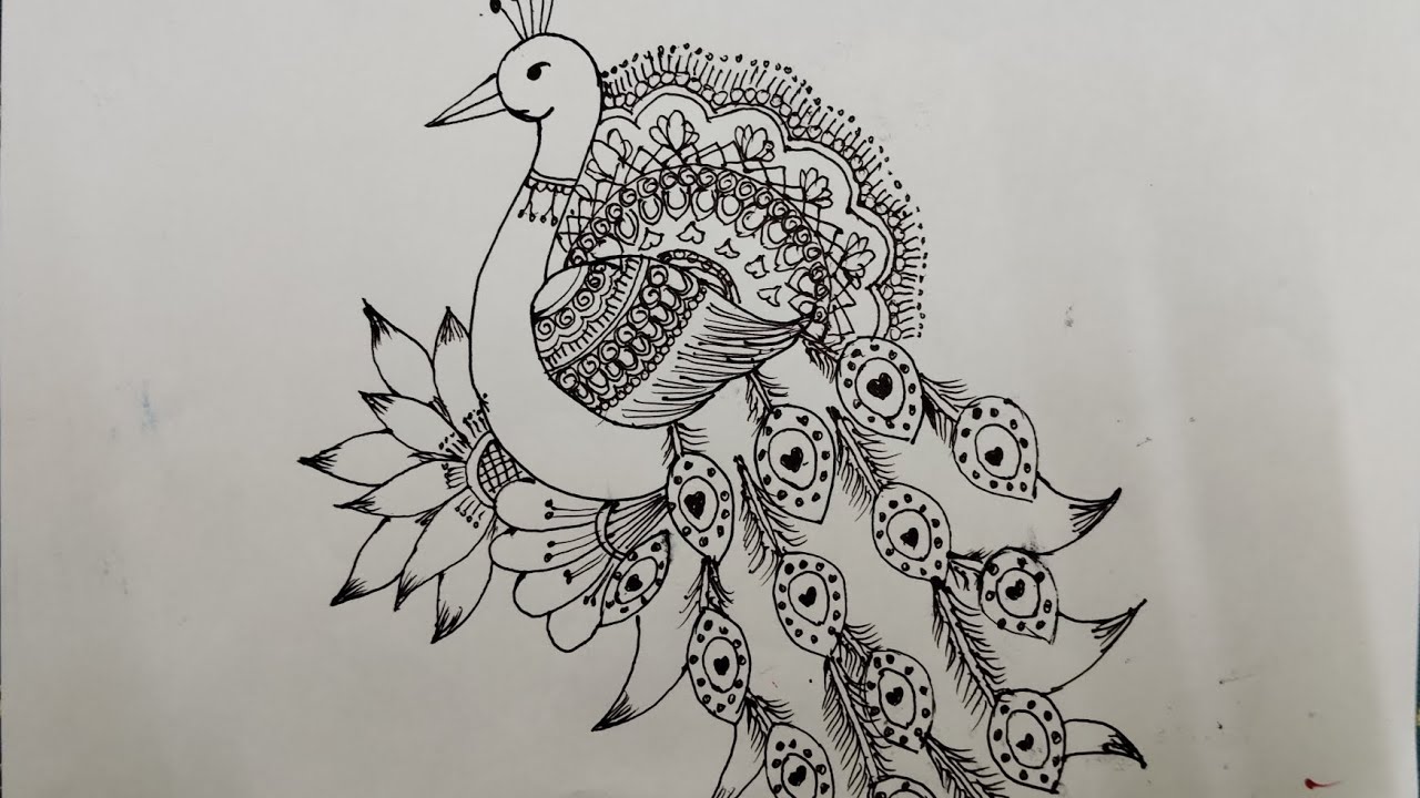 How to draw beautiful peacock| pencil drawing| easy drawing