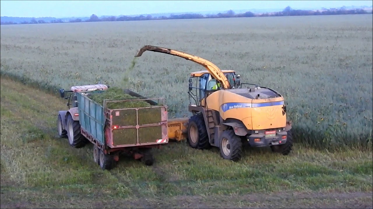 New Holland FR 9040 -zbiór poplonów 2019