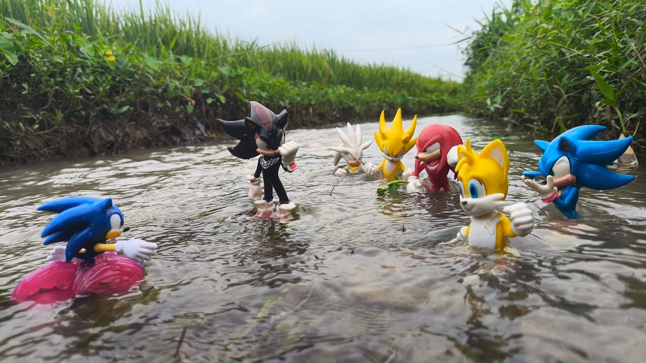 Sonic Hunter | Sonic Hedgehog | Knuckles | Tails | Super Sonic | Sonic Shadow | Metal Sonic | Amy