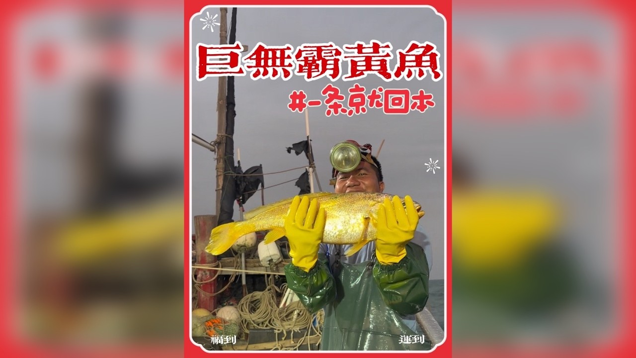 晚上抓的就是黄、好久没有上这么大的啦、看看今天能卖多少