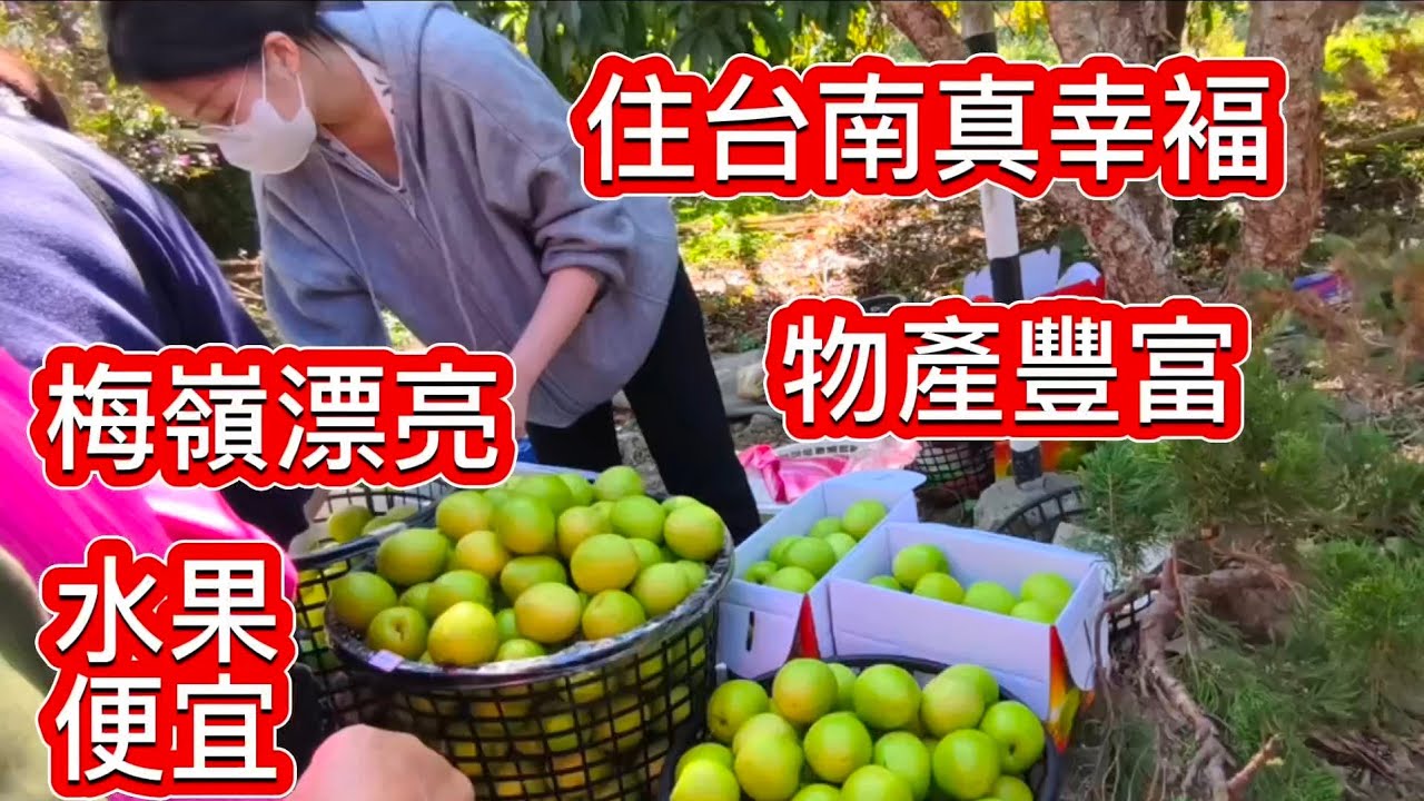我發現台南人真有褔 -有漂亮的梅嶺生意火暴 _物價便宜 蔬果滿山遍野