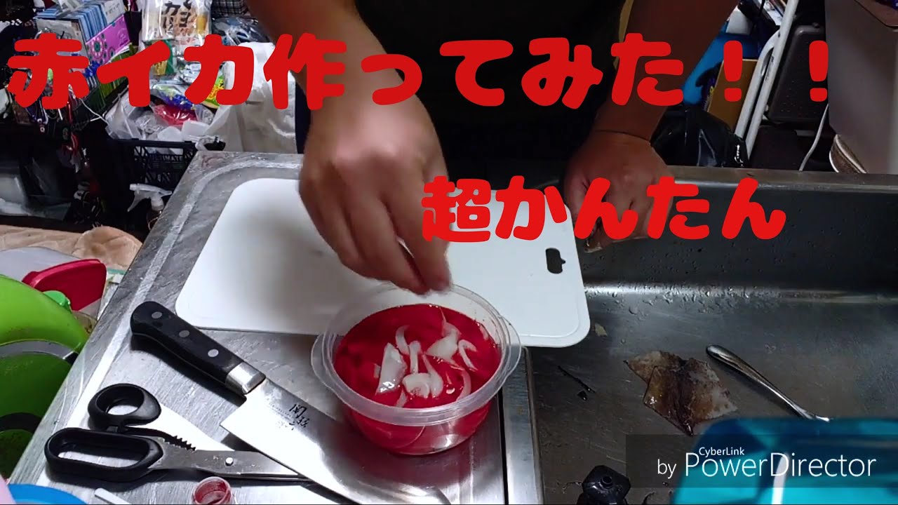 赤イカ(釣り餌)を作ってみた