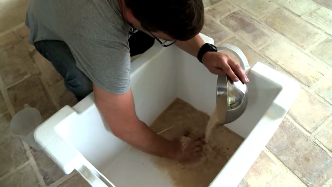 Production viticole sans sulfite : le point de salut pour le vin bio ?